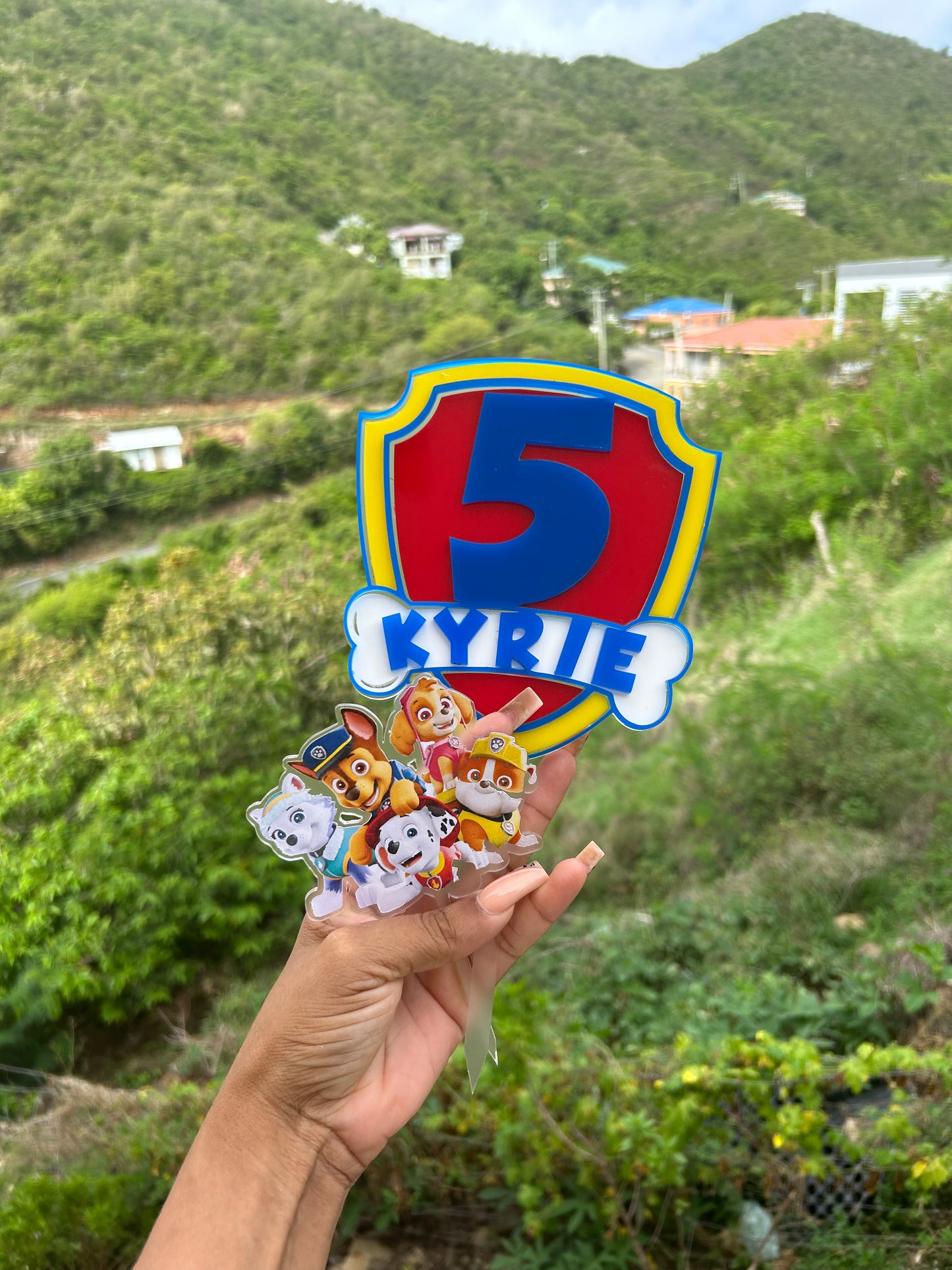 Paw Patrol 2-piece Cake Topper