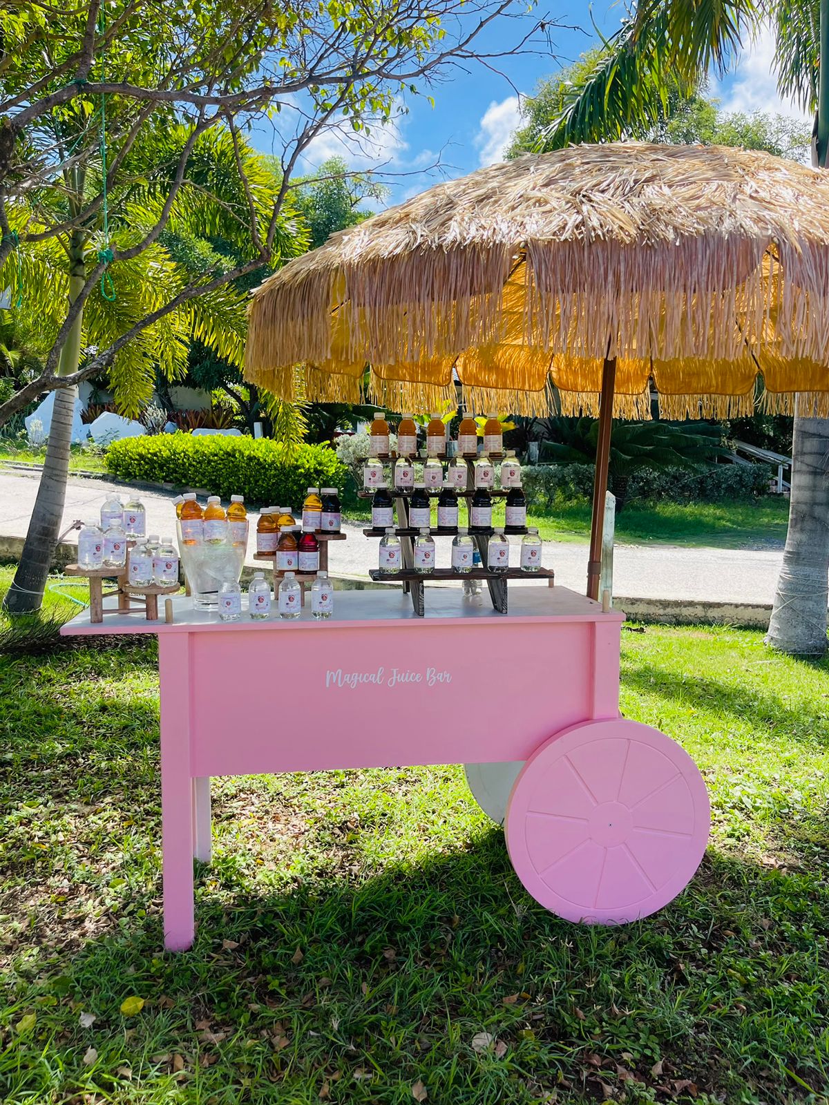 Custom Vinyl Sticker (Large) One Color